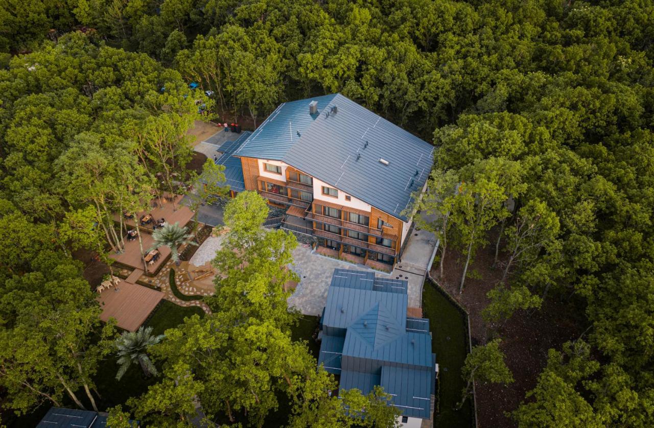 Utopia Forest Burgas Luaran gambar